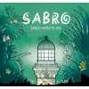 Brasserie des Abers Enez-Werc'h IPA - Sabro