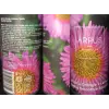 Ārpus Brewing Co. Apricot x Orange x Lemon x Vanilla Smoothie Sour Ale